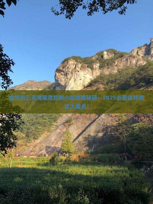 金华去三亚海棠湾旅游小吃
