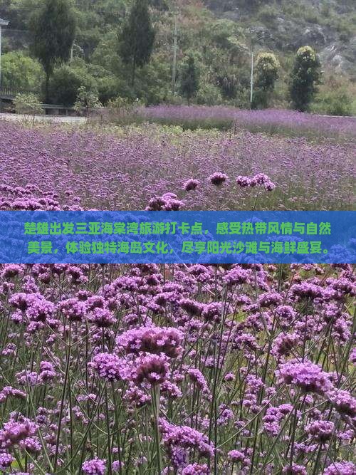 楚雄出发三亚海棠湾旅游打卡点
