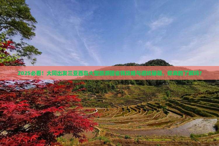 大同出发三亚西岛大型旅游团