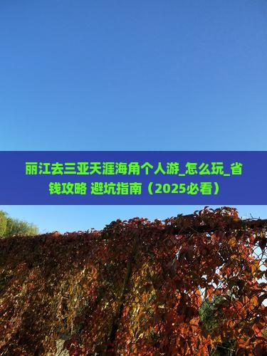 丽江去三亚天涯海角个人游