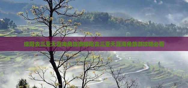 绵阳去三亚天涯海角旅游