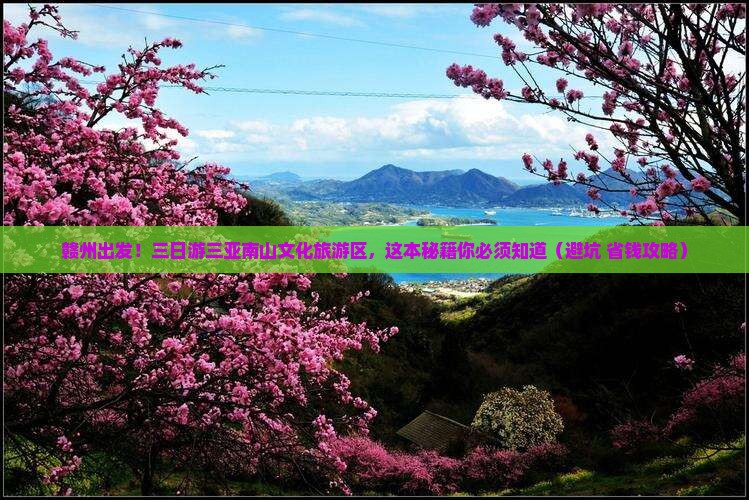 赣州去三亚南山文化旅游区三日游