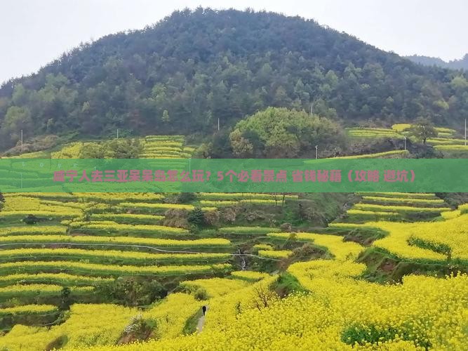 咸宁去三亚呆呆岛团体旅游