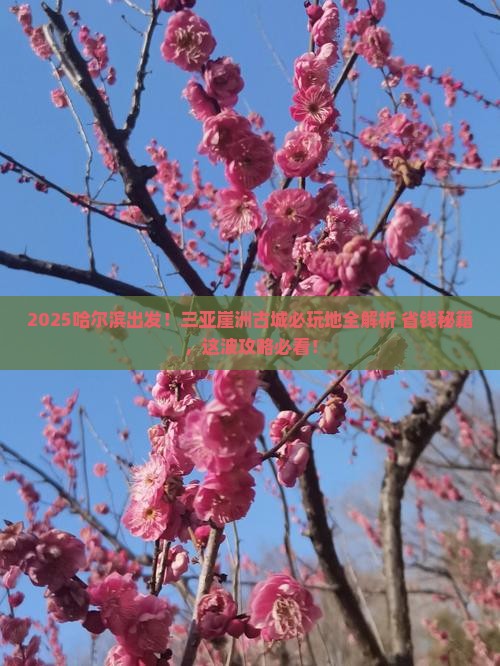哈尔滨出发三亚崖洲古城必玩地