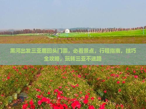 黑河出发三亚鹿回头门票