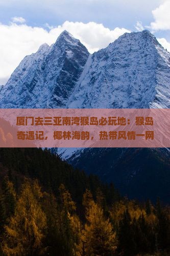 厦门去三亚南湾猴岛必玩地