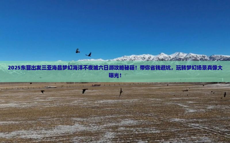 东营前往三亚海昌梦幻海洋不夜城六日游