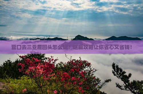 营口前往三亚鹿回头旅行社