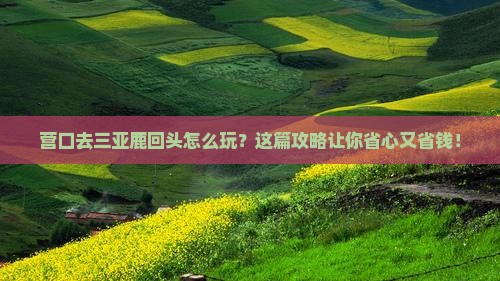 营口前往三亚鹿回头旅行社