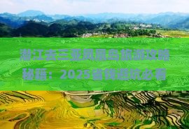 潜江去三亚凤凰岛旅行社