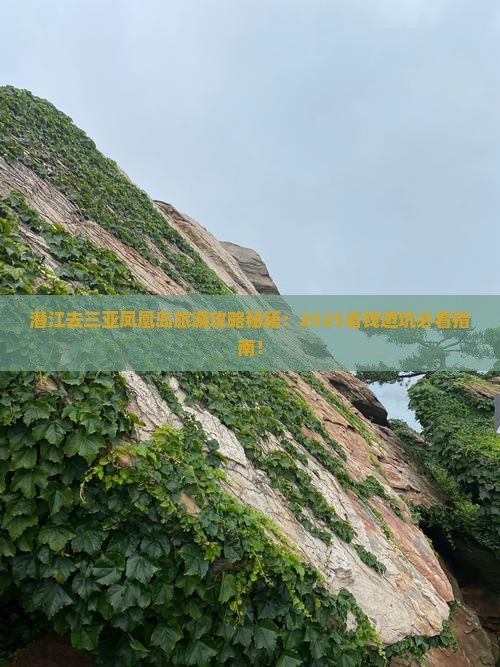 潜江去三亚凤凰岛旅行社