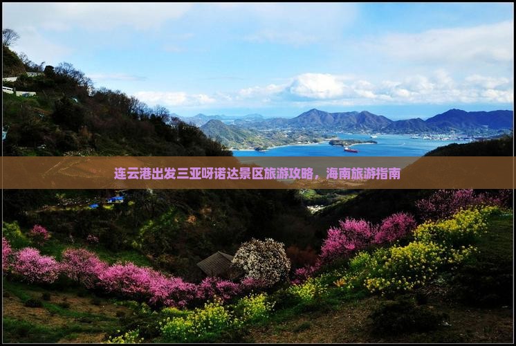 连云港出发三亚呀诺达景区团体旅游