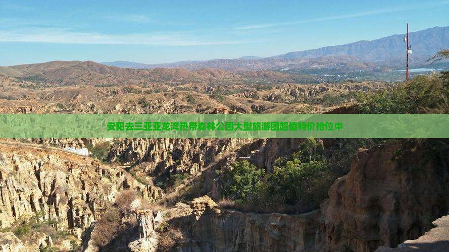 安阳去三亚亚龙湾热带森林公园大型旅游团
