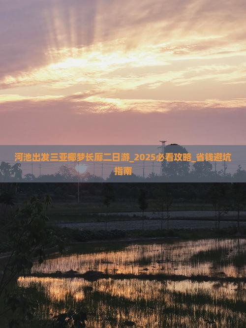 河池出发三亚椰梦长廊二日游