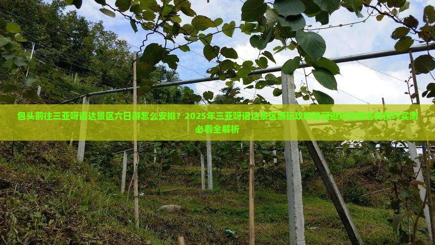 包头前往三亚呀诺达景区六日游 包头前往三亚呀诺达景区六日游