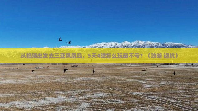 临猗前往三亚凤凰岛大型旅游团