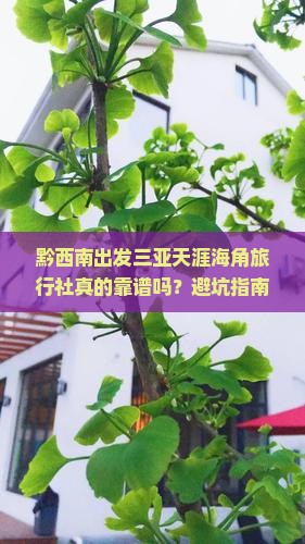黔西南出发三亚天涯海角旅行社