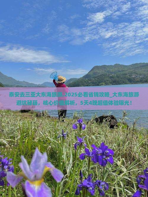 泰安去三亚大东海旅游