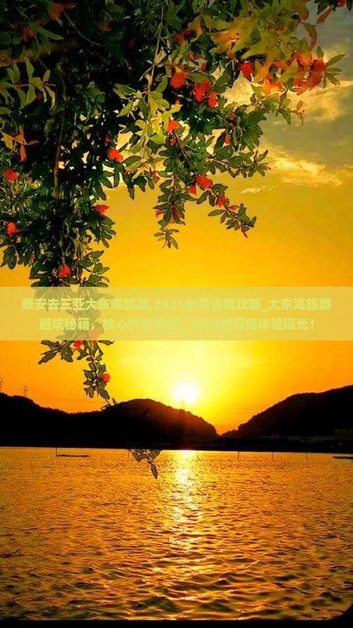泰安去三亚大东海旅游