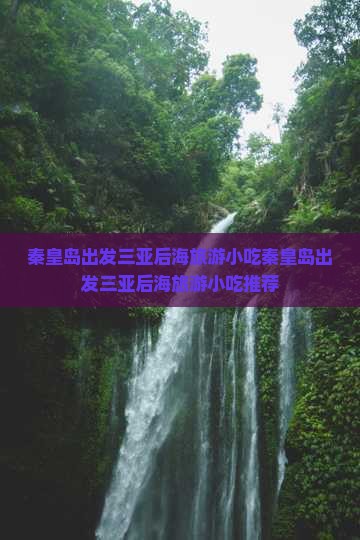 秦皇岛出发三亚后海旅游小吃