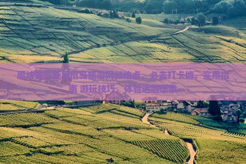 廊坊去三亚凤凰岛旅游网红地点