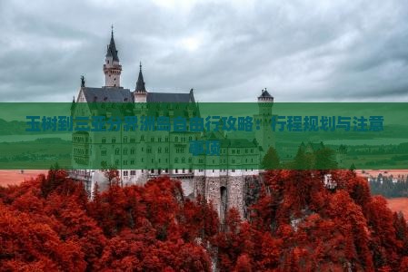 玉树到三亚分界洲岛自由行攻略：行程规划与注意事项