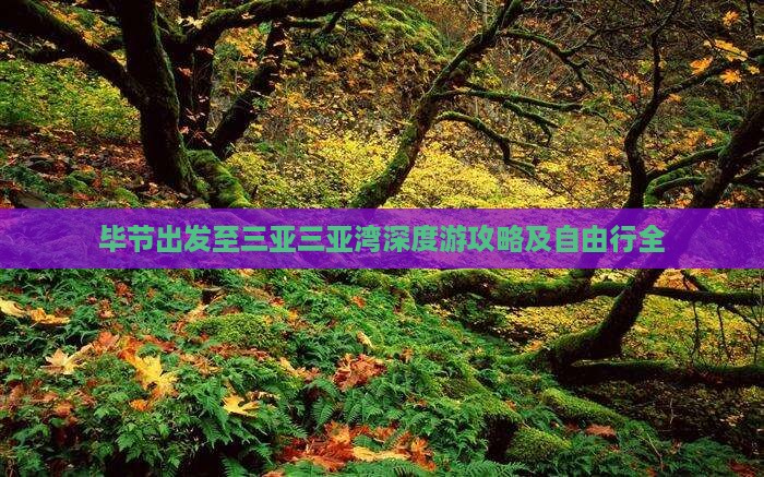 毕节出发至三亚三亚湾深度游攻略及自由行全