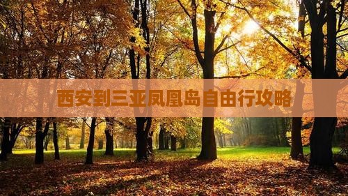 西安到三亚凤凰岛自由行攻略