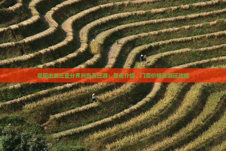 阜阳出发三亚分界洲岛五日游:景点介绍、门票价格及游玩攻略 阜阳出发三亚分界洲岛五日游:景点介绍、门票价格及游玩攻略