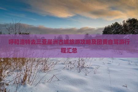 呼和浩特去三亚崖洲古城旅游攻略及团费自驾游行程汇总