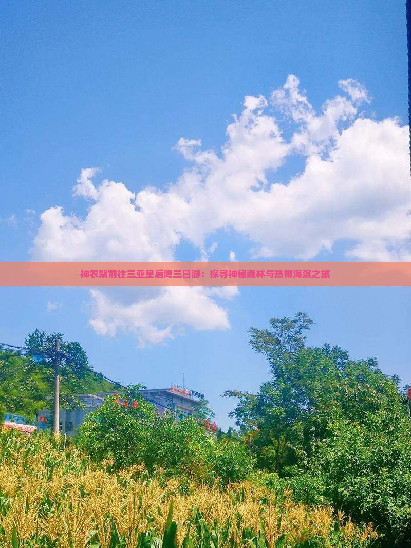 神农架前往三亚皇后湾三日游：探寻神秘森林与热带海滨之旅