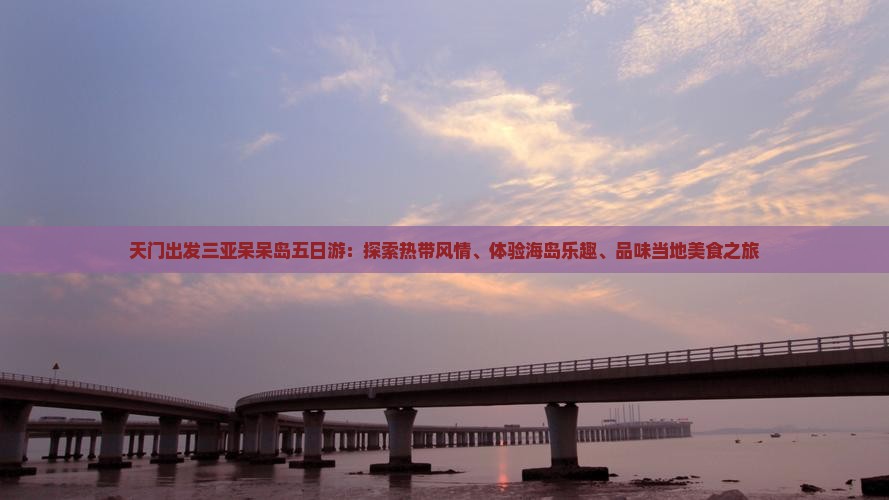 天门出发三亚呆呆岛五日游：探索热带风情、体验海岛乐趣、品味当地美食之旅