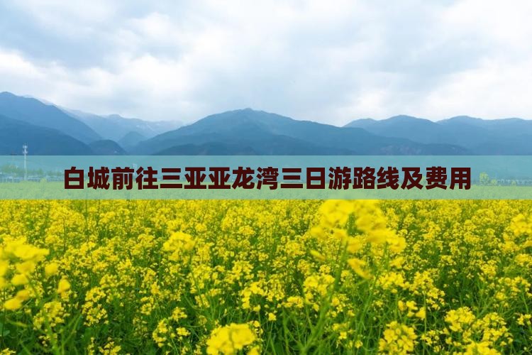 白城前往三亚亚龙湾三日游路线及费用
