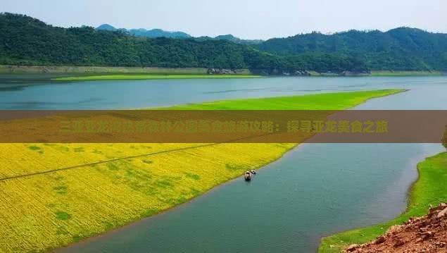 三亚亚龙湾热带森林公园美食旅游攻略：探寻亚龙美食之旅