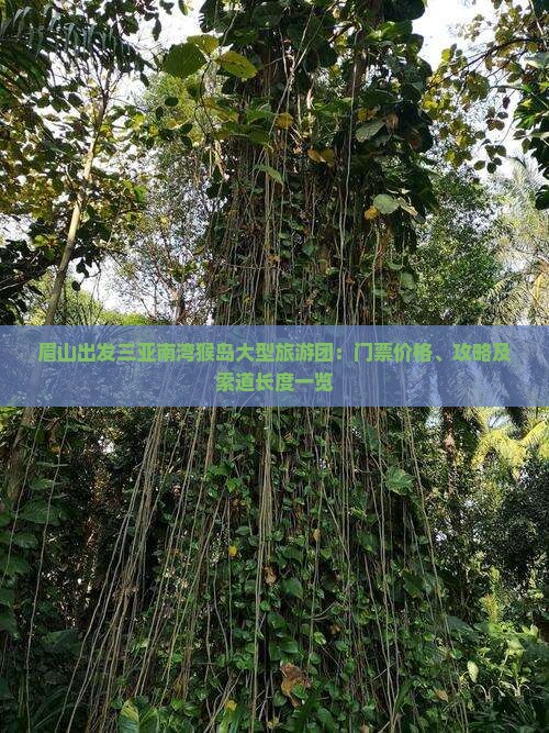 眉山出发三亚南湾猴岛大型旅游团：门票价格、攻略及索道长度一览