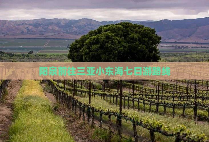 阳泉前往三亚小东海七日游路线