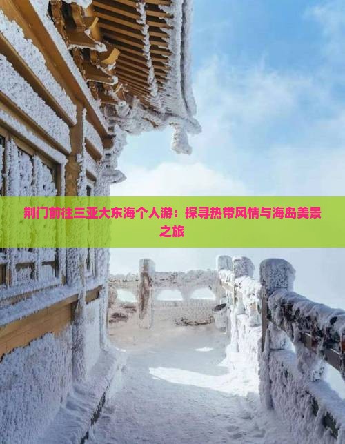 荆门前往三亚大东海个人游：探寻热带风情与海岛美景之旅