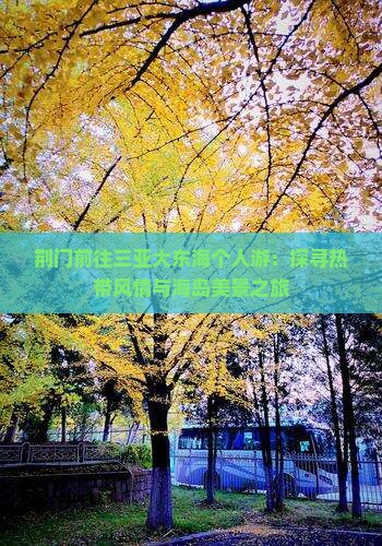 荆门前往三亚大东海个人游：探寻热带风情与海岛美景之旅