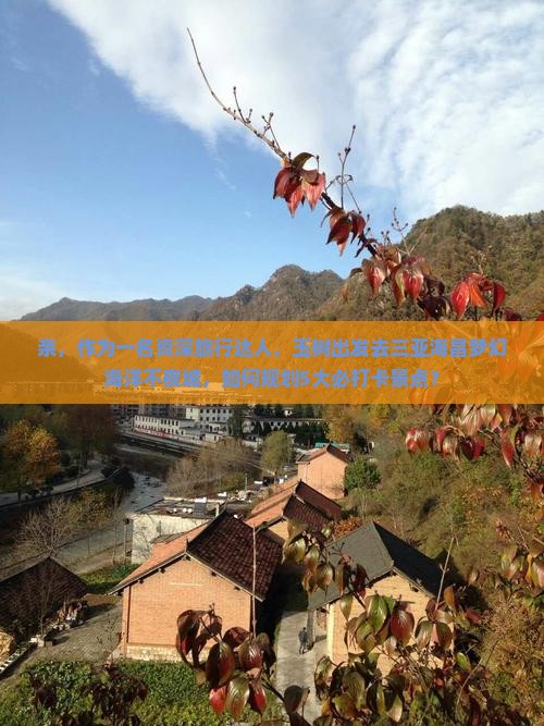 玉树去三亚海昌梦幻海洋不夜城旅游打卡点