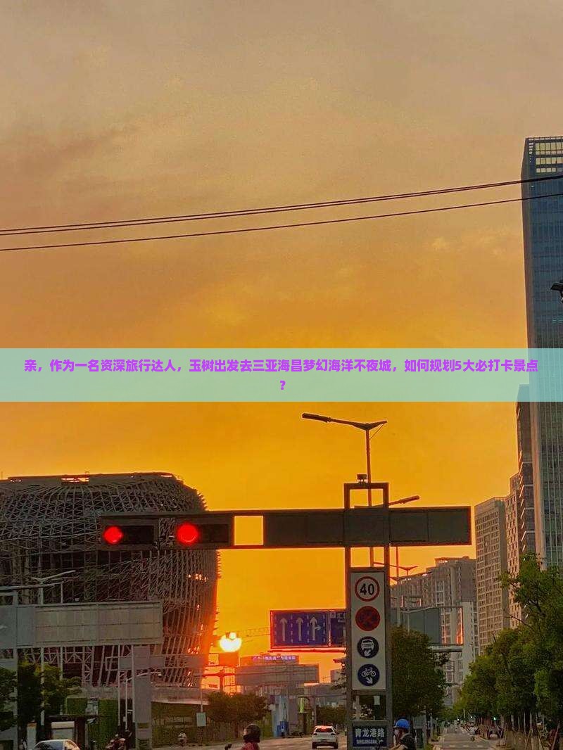 玉树去三亚海昌梦幻海洋不夜城旅游打卡点