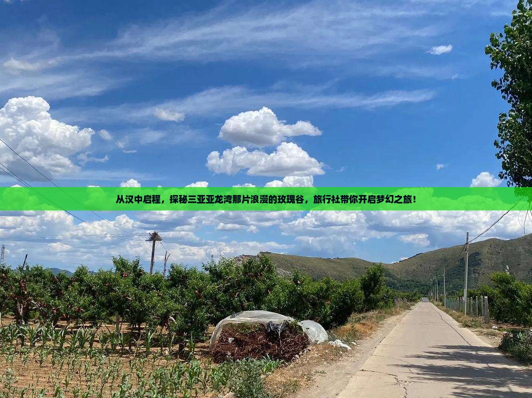 汉中出发三亚亚龙湾国际玫瑰谷旅行社