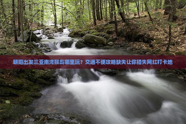 朝阳出发三亚南湾猴岛哪里玩 朝阳出发三亚南湾猴岛哪里玩