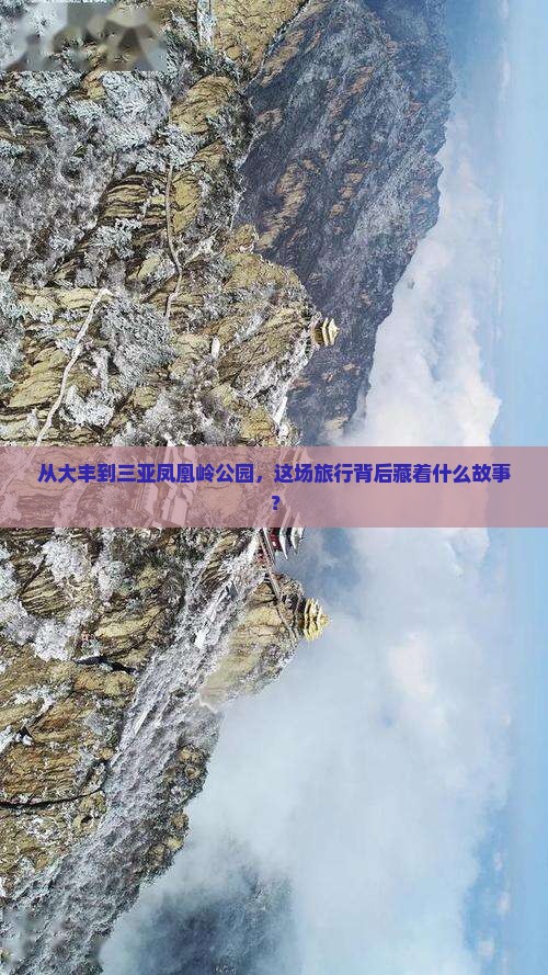 大丰出发三亚凤凰岭公园大型旅游团