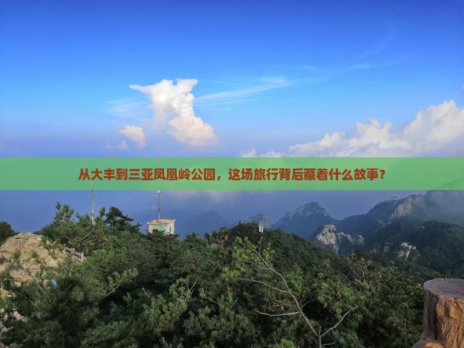 大丰出发三亚凤凰岭公园大型旅游团