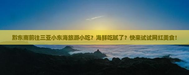 黔东南前往三亚小东海旅游小吃