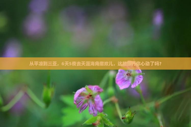 平凉出发三亚天涯海角六日游