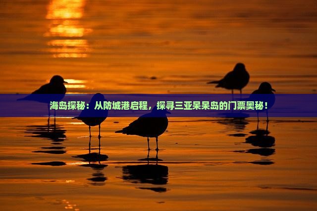 防城港出发三亚呆呆岛门票