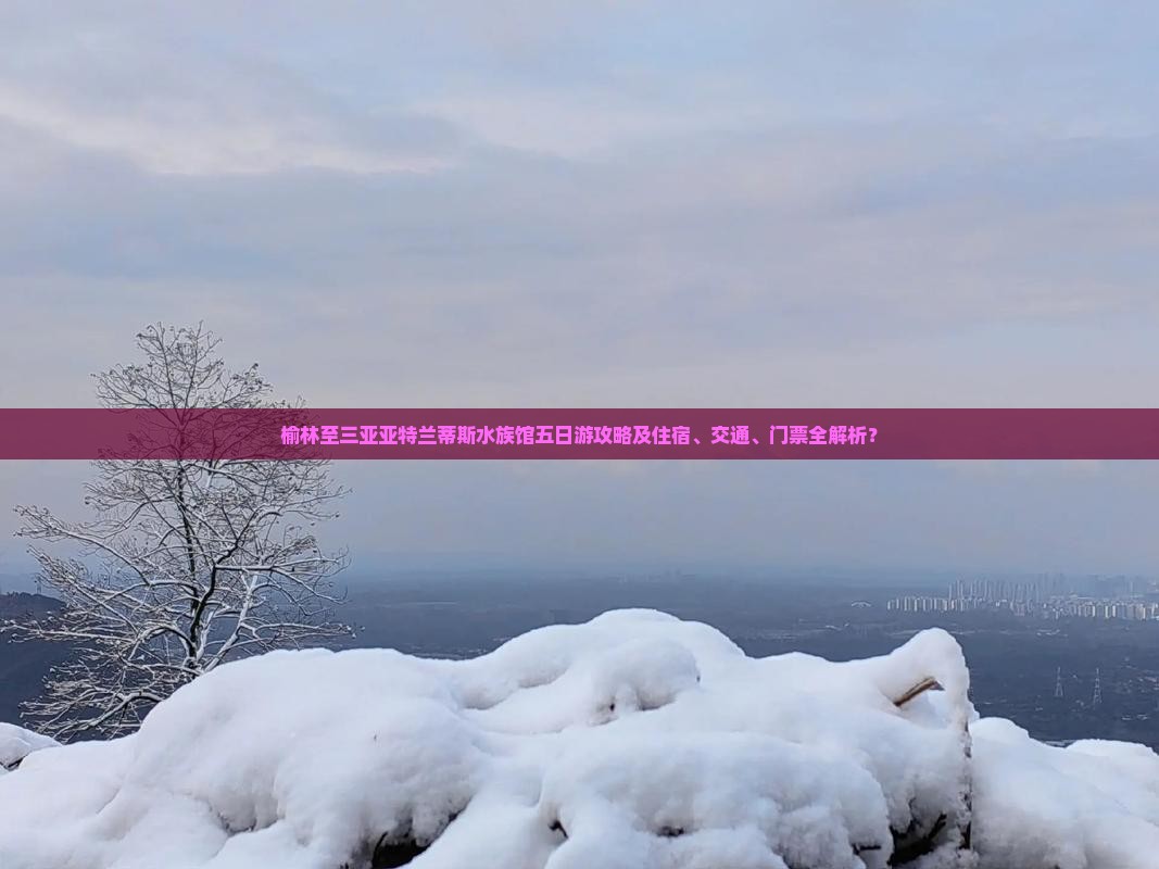 榆林出发三亚亚特兰蒂斯水族馆五日游