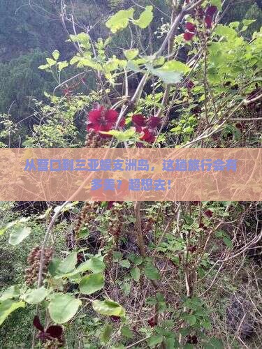 营口出发三亚蜈支洲岛旅游