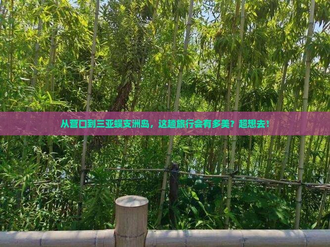 营口出发三亚蜈支洲岛旅游